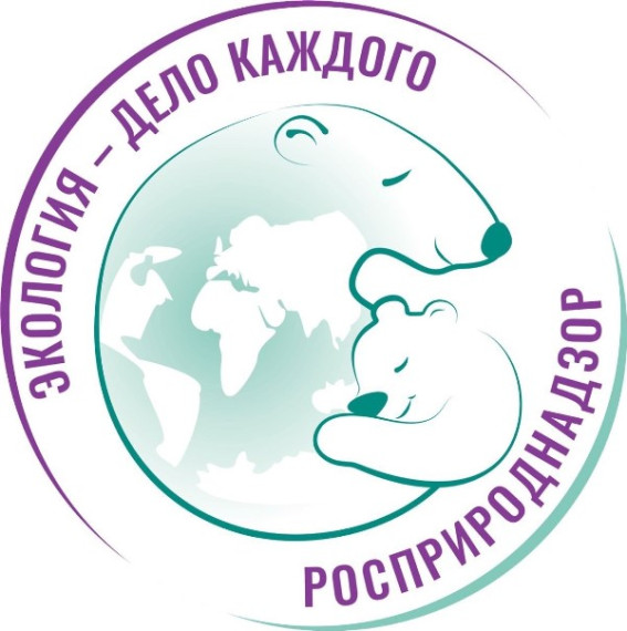 Итоги IV Международной детско-юношеской премии «Экология - дело каждого» в Энгельсском муниципальном районе.