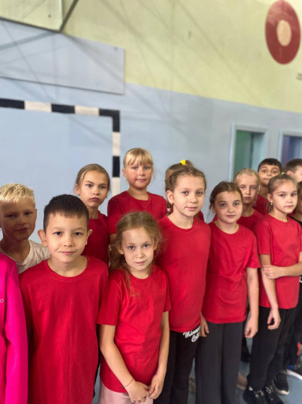 Всероссийский проект «Самбо в школу».